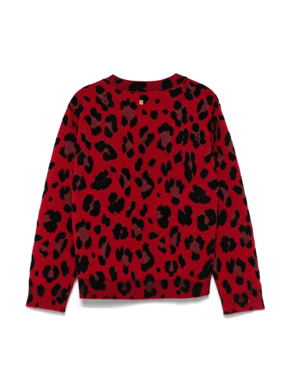 Versace Kids Trui met luipaardprint - Rood