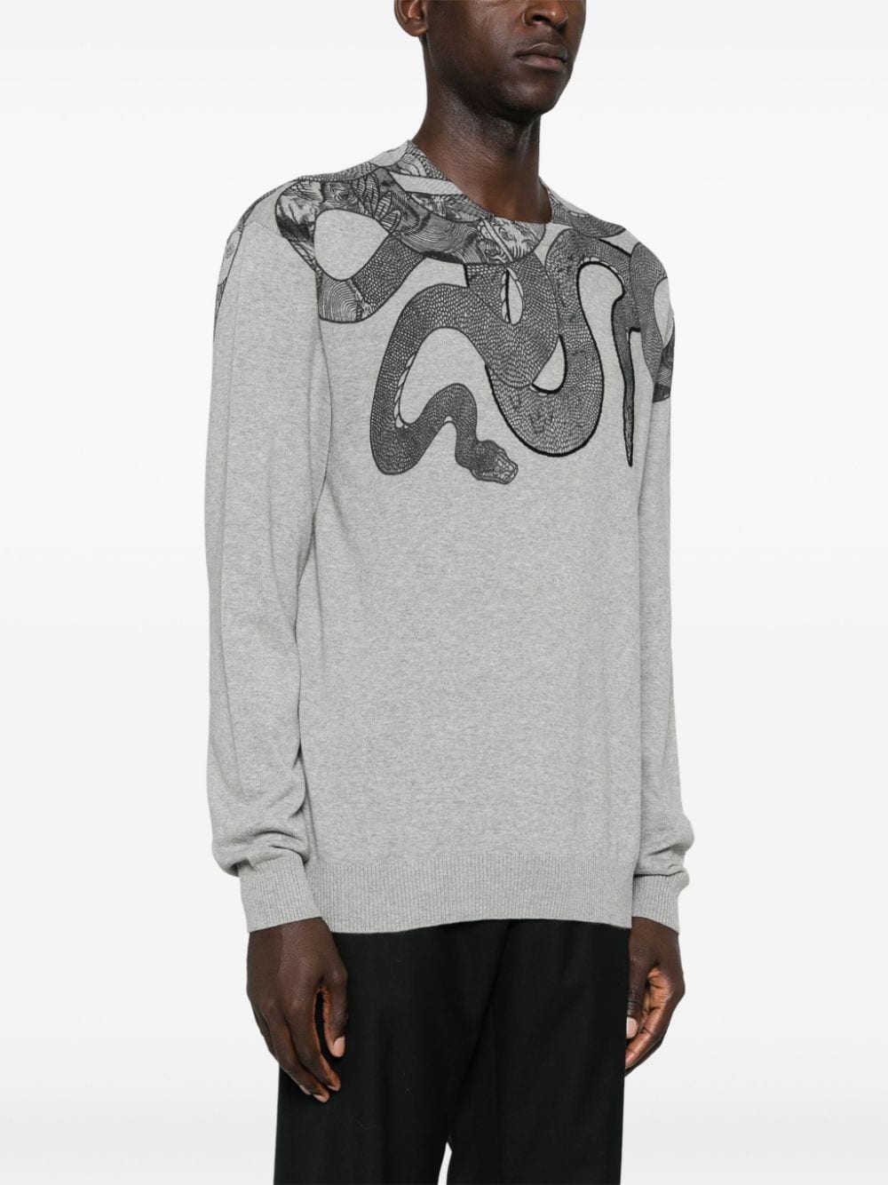 Shop Just Cavalli Snake-print Sweater In Grey