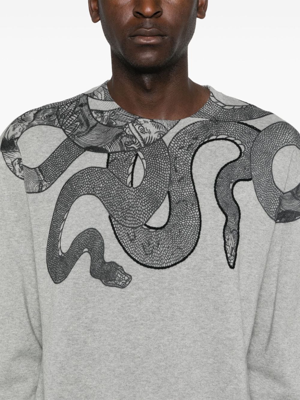 Shop Just Cavalli Snake-print Sweater In Grey