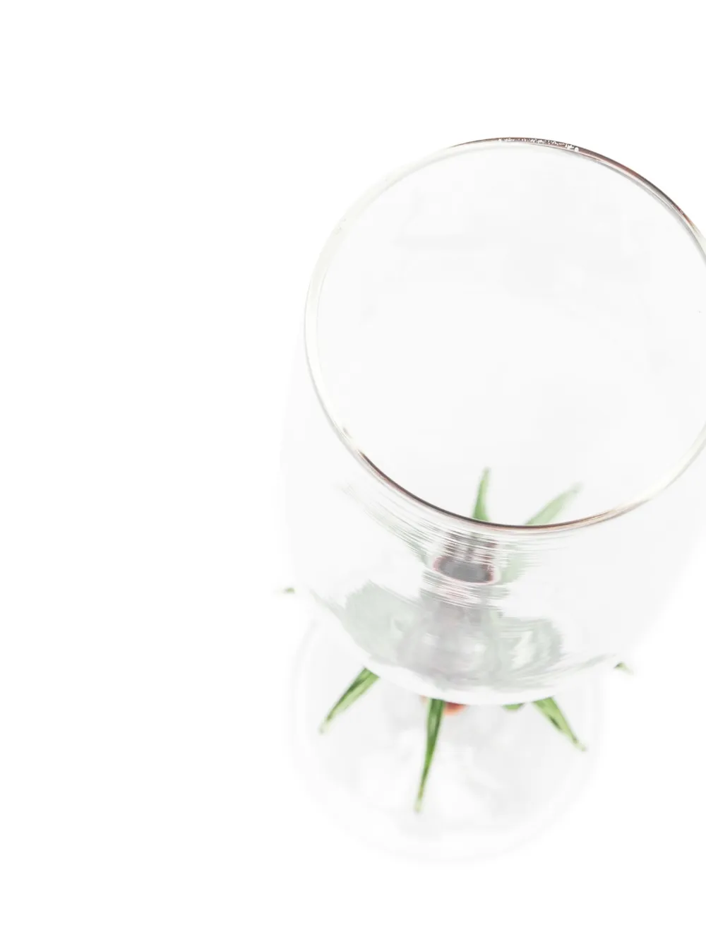  Les-ottomans Palm Cocktail Glass (300ml) - Neutrals 