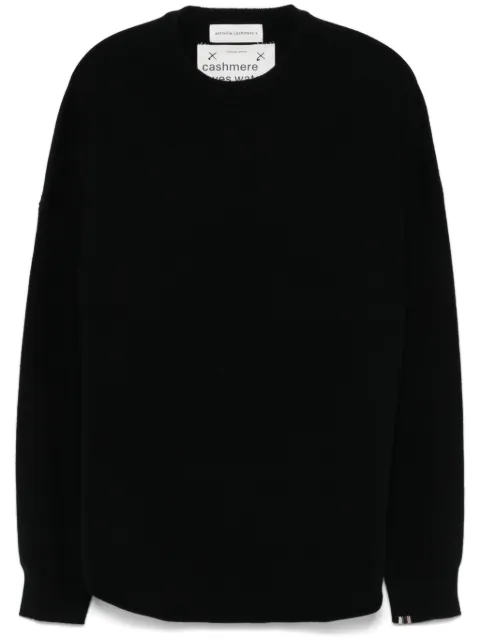 extreme cashmere n°53 crew hop sweater
