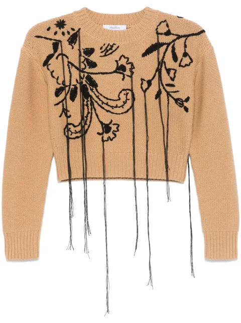 Max Mara embroidered sweater