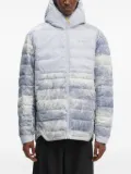 adidas x ©National Geographic insulated jacket - Grey