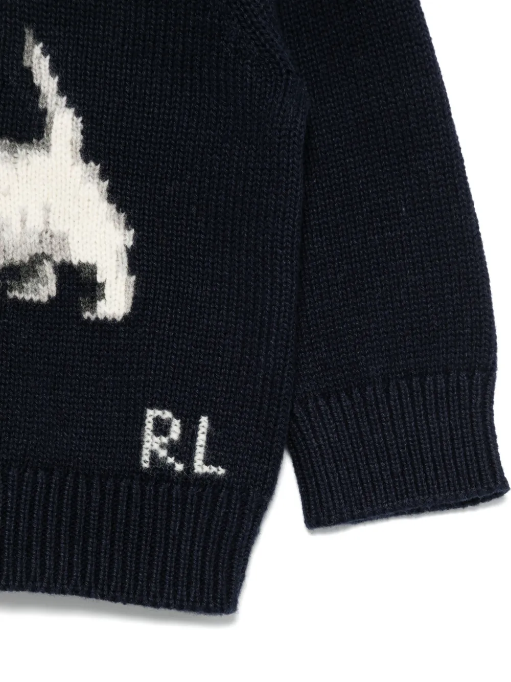 POLO RALPH LAUREN KIDS Intarsia trui Blauw