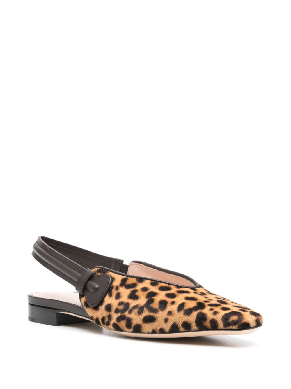 Rodo leopard-print ballerina shoes - Bruin