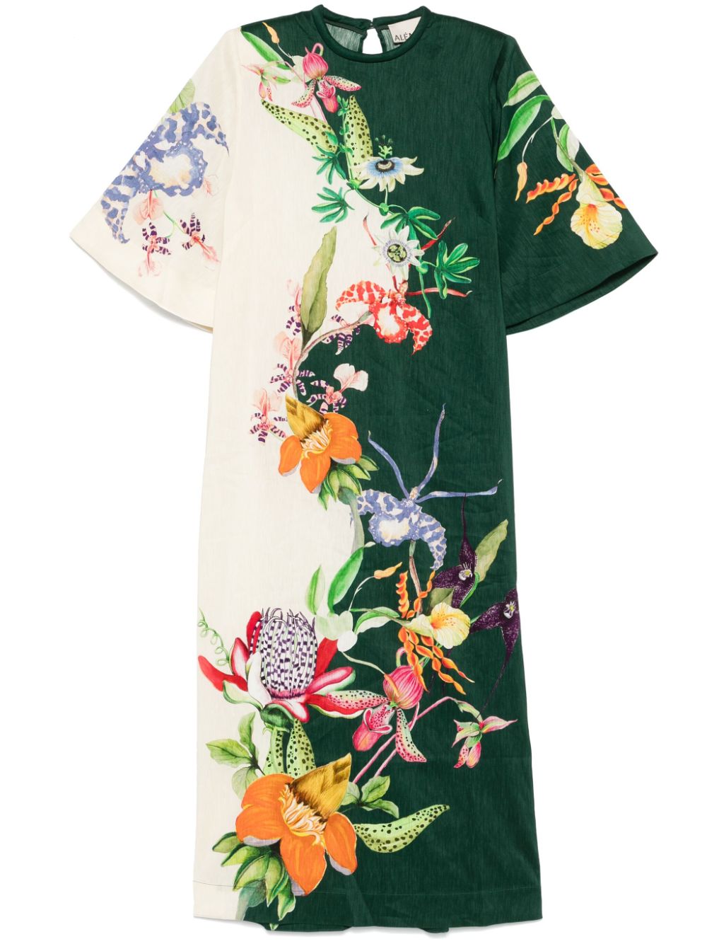 ALEMAIS floral maxi dress - Green