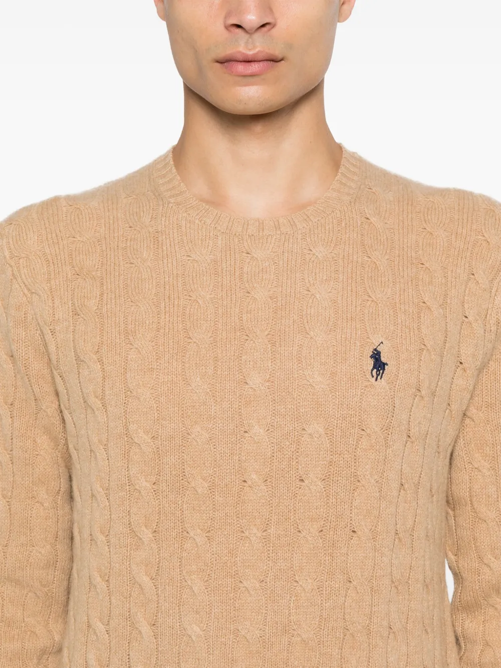 Polo Ralph Lauren Trui met geborduurd Polo Pony-logo Bruin