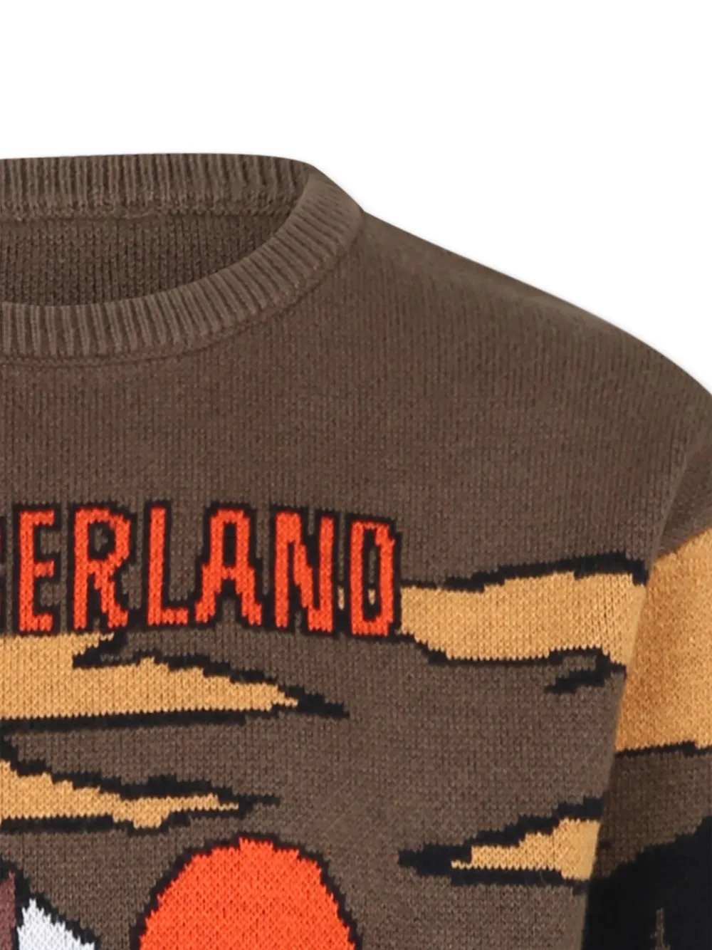 Timberland Kids Trui met print Groen