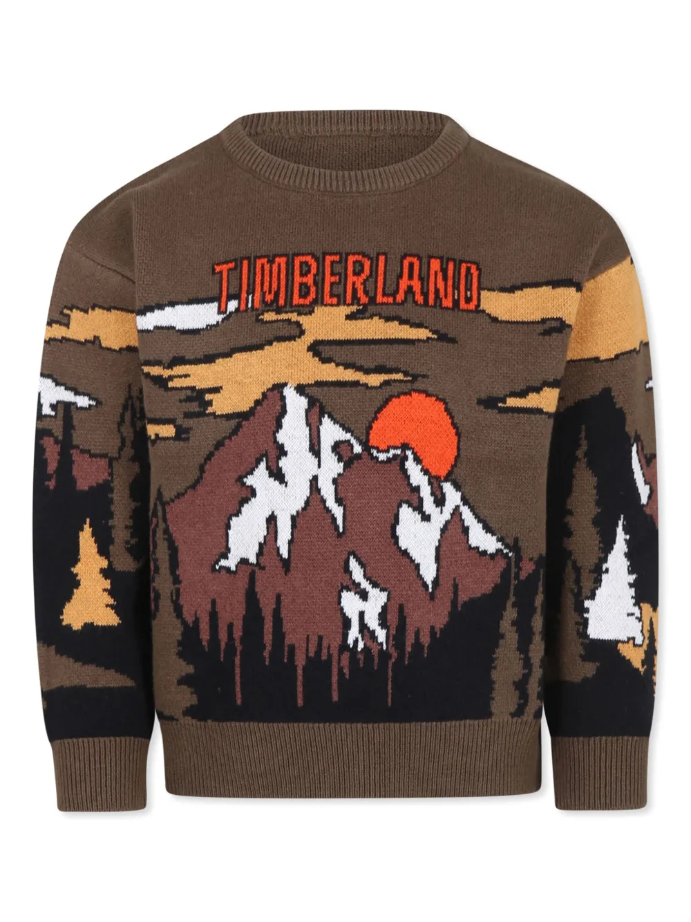 Timberland Kids Trui met print Groen