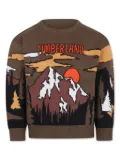 Timberland Kids graphic print jumper - Green