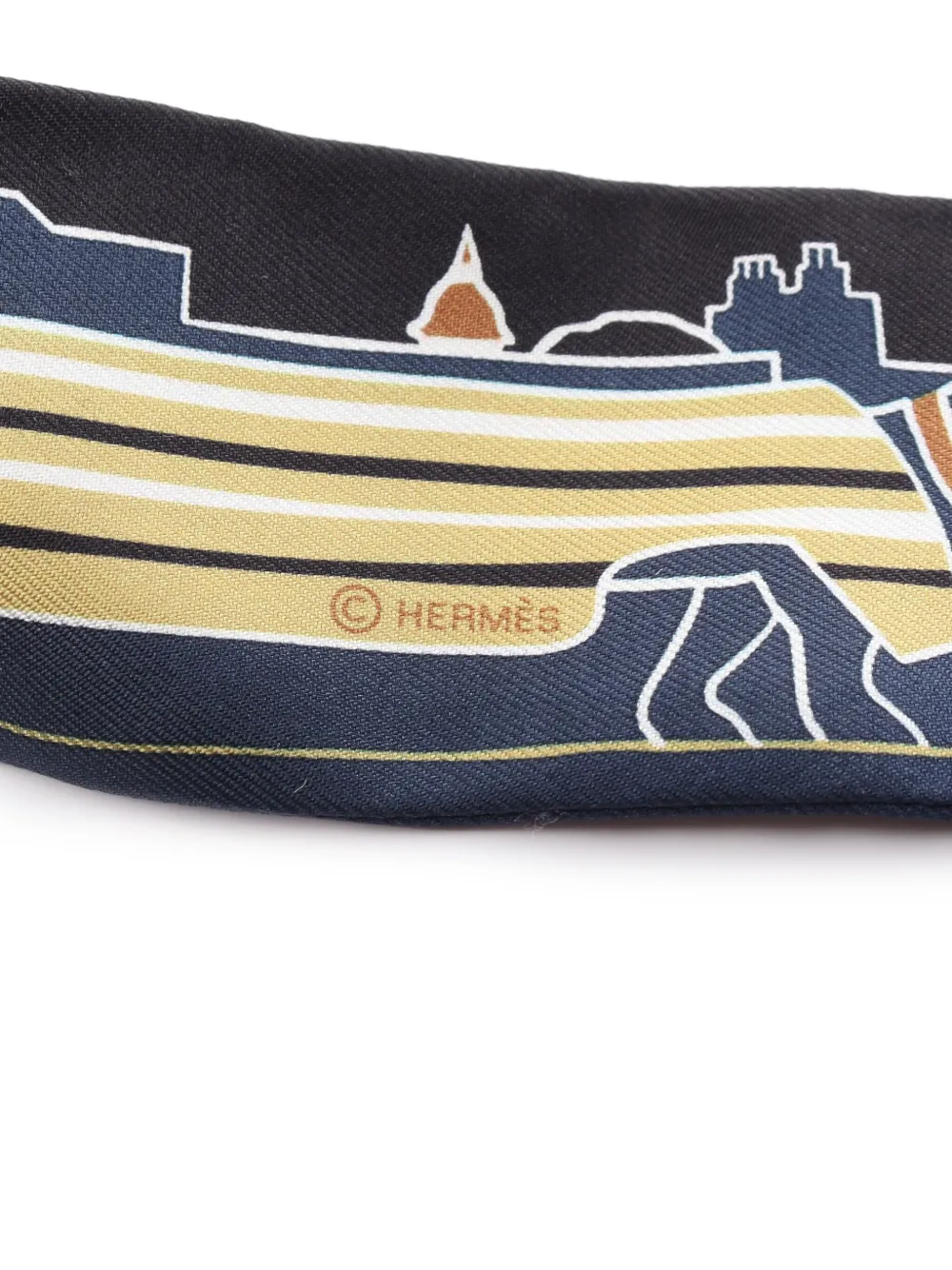Hermès Pre-Owned 2020 Les Chiens Parisiens scarf - Blauw
