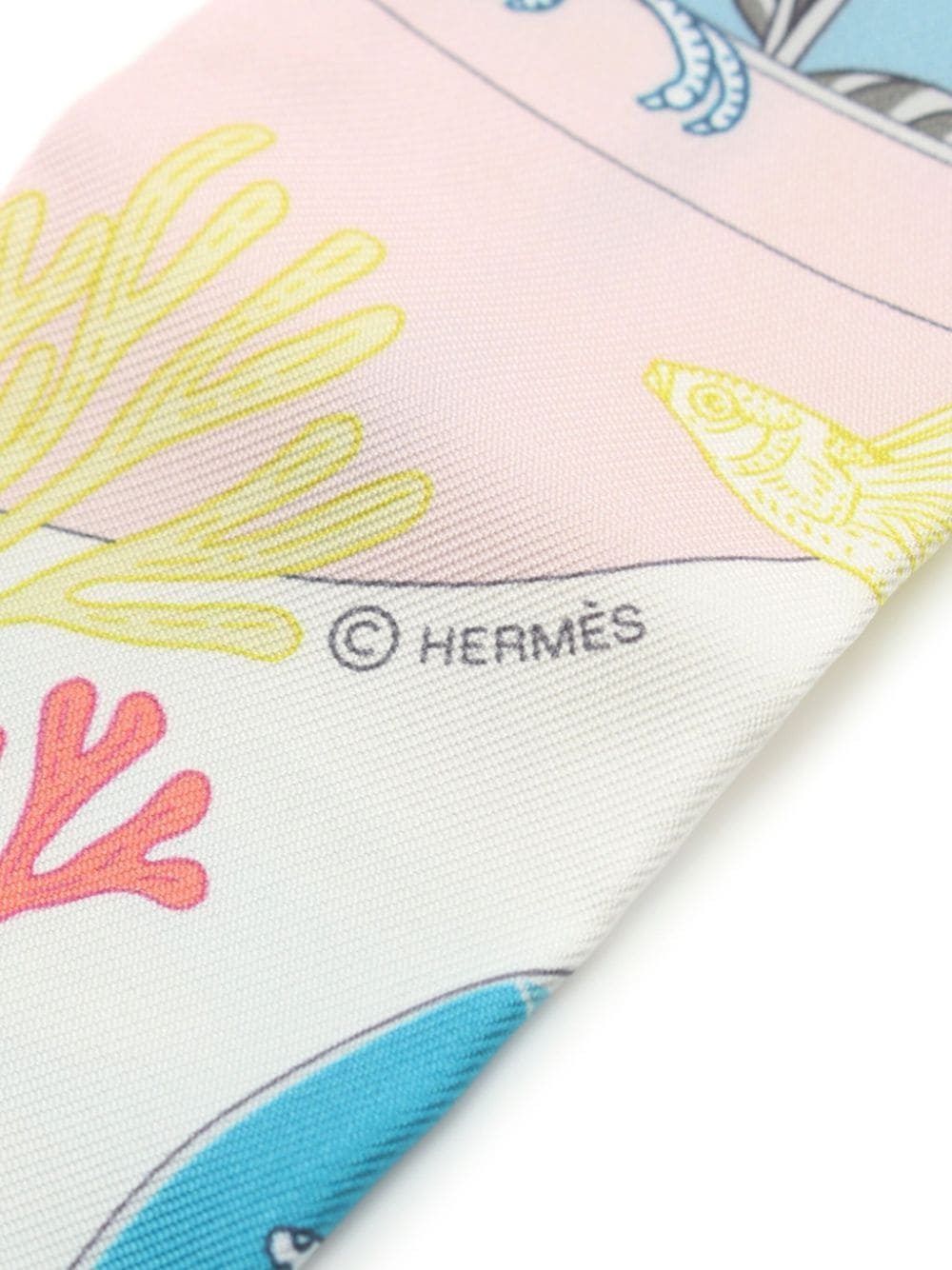 Hermès Pre-Owned 2020 Precious Paradise scarf - Beige