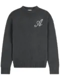 Axel Arigato Beyond Signature jumper - Grey