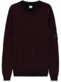 C.P. Company Lens-detail sweater - Purple