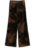 Diega Portorico trousers - Brown