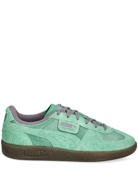 PUMA tenis Palermo Clobber Dresscode