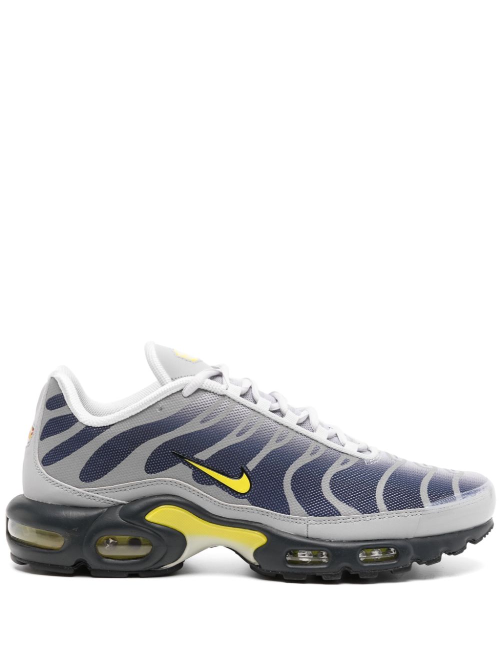 Nike Air Max Plus sneakers Grijs