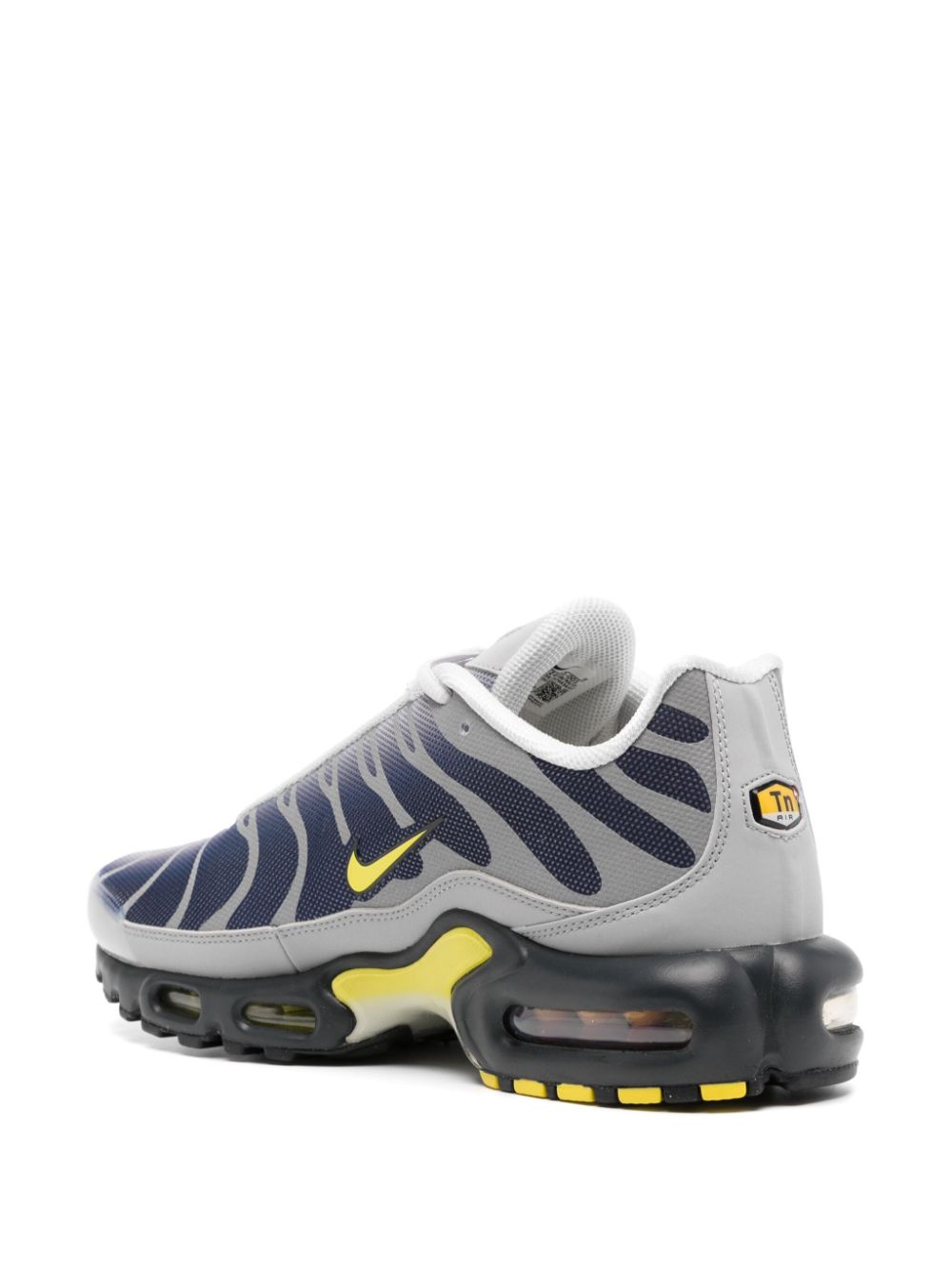 Nike Air Max Plus sneakers Grijs