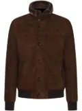 Moorer stand-up collar suede jacket - Brown