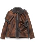 Y/Project Aviator jacket - Brown