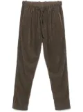 Transit corduroy trousers - Brown