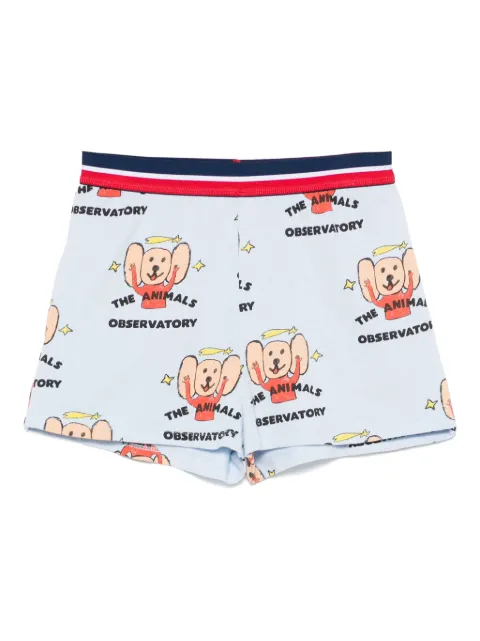 The Animals Observatory Poodle shorts