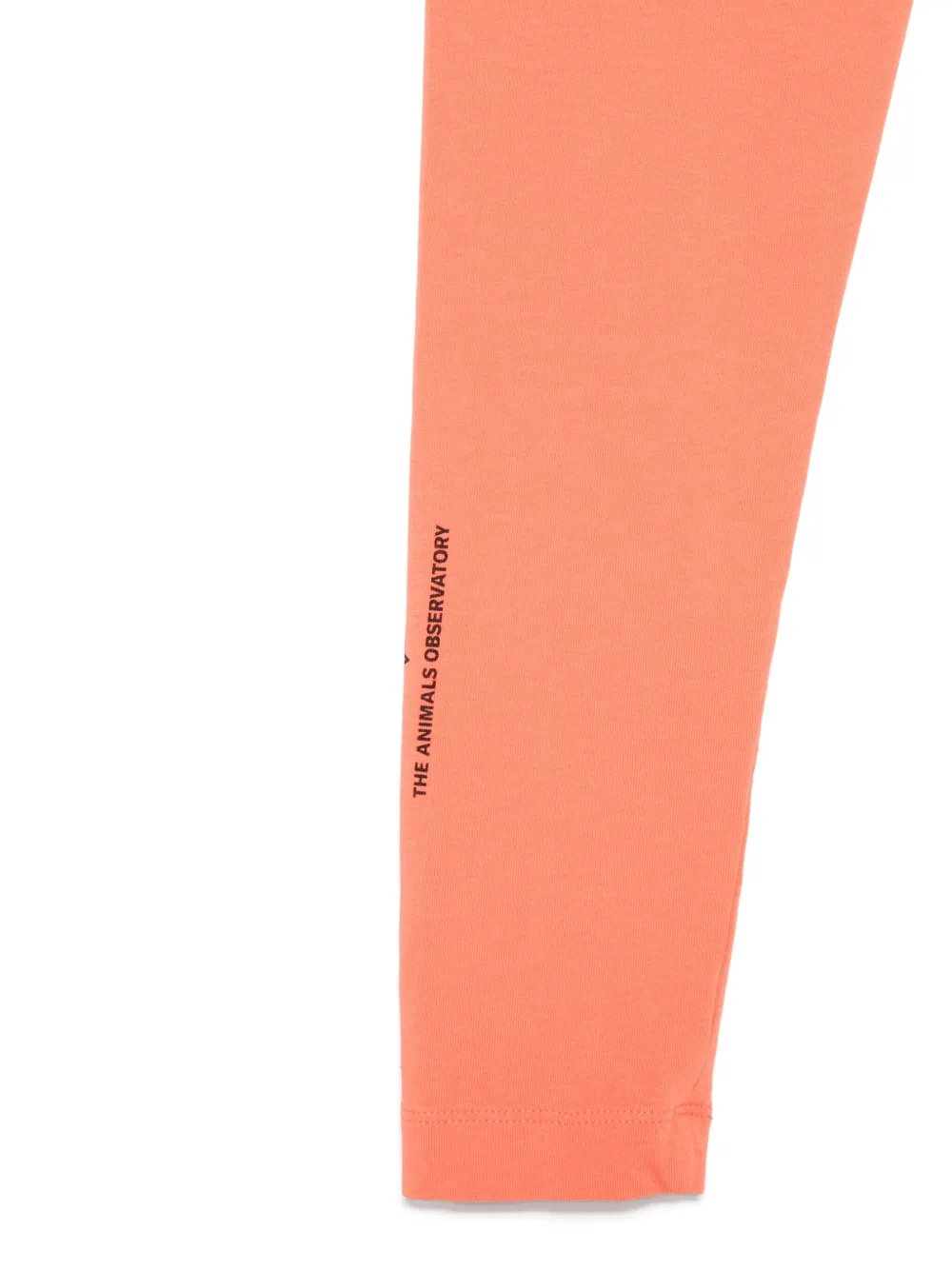 The Animals Observatory Alligator legging Oranje
