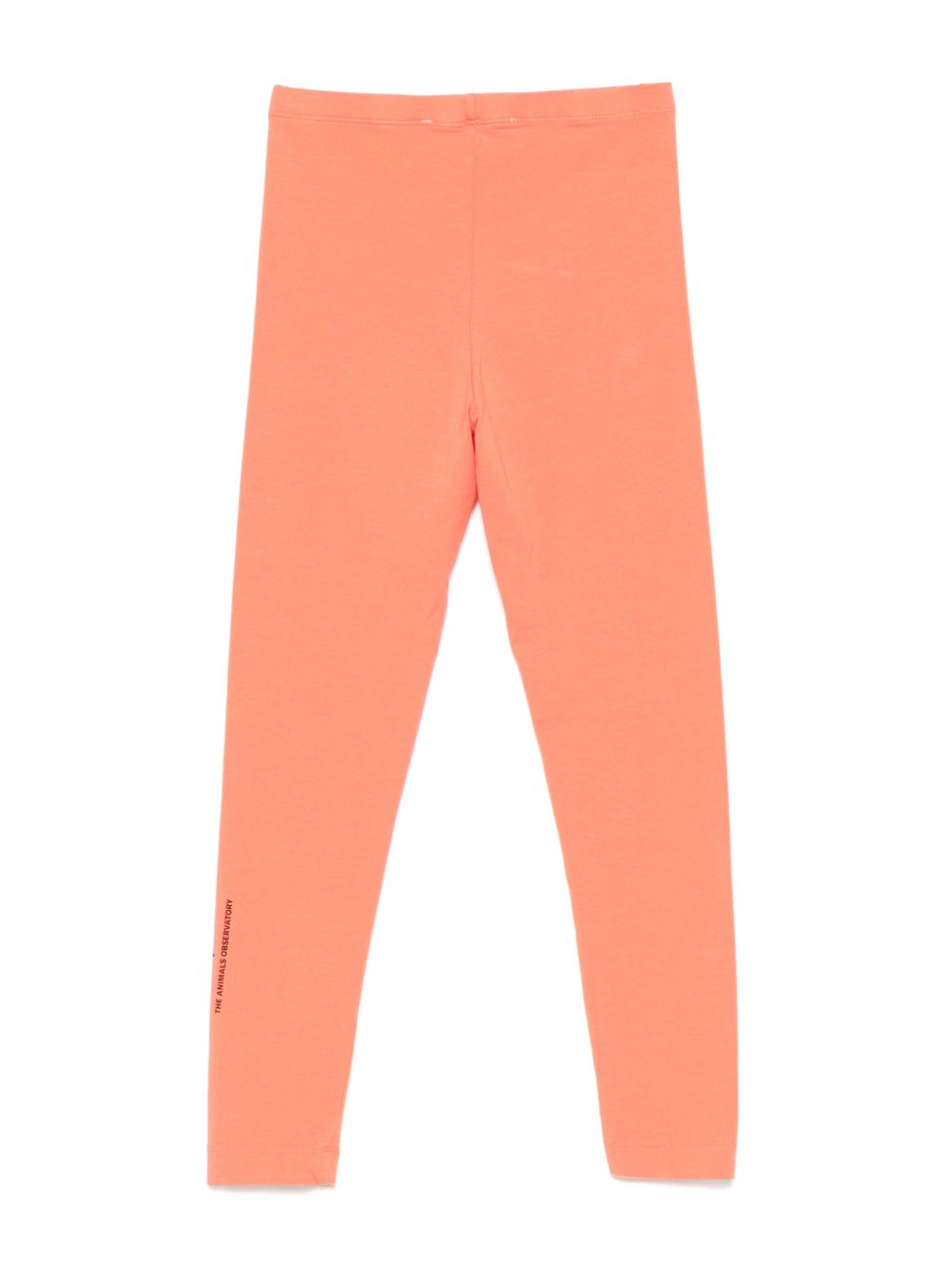 The Animals Observatory Alligator legging - Oranje