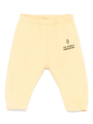 The Animals Observatory