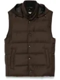 Montecore padded gilet - Brown