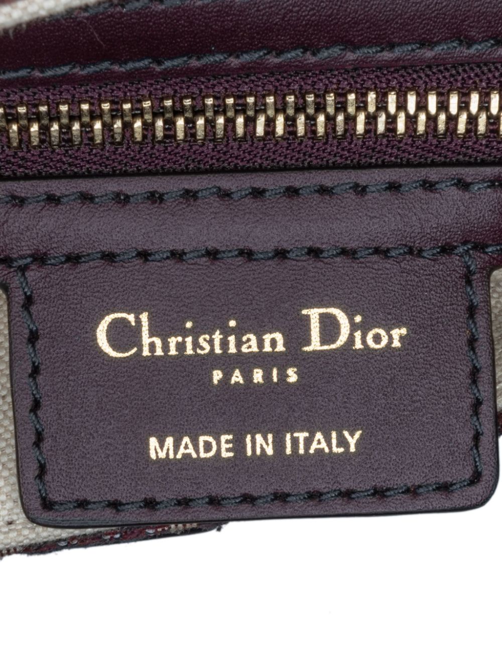 Christian Dior 2019 medium Oblique Saddle shoulder bag Women