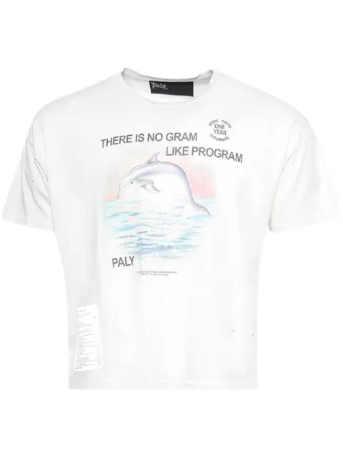 Paly playera Program