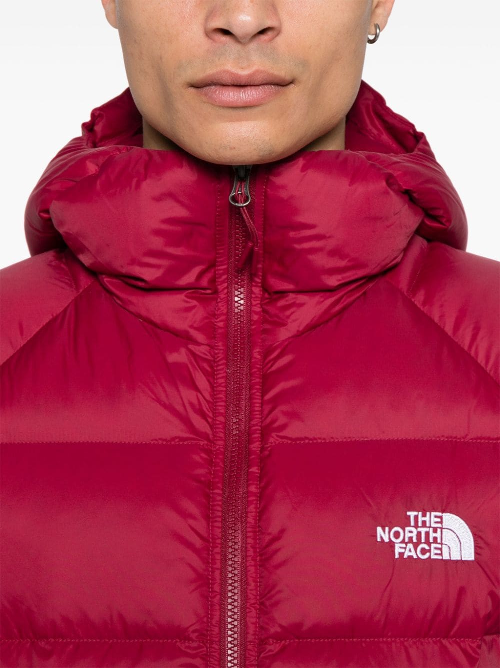 Shop The North Face Hydrenalite Jacket In Red