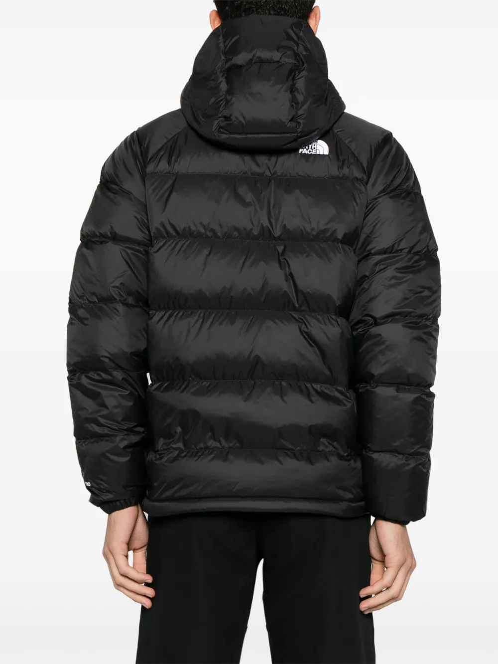 THE NORTH FACE HYDRENALITE JACKET 