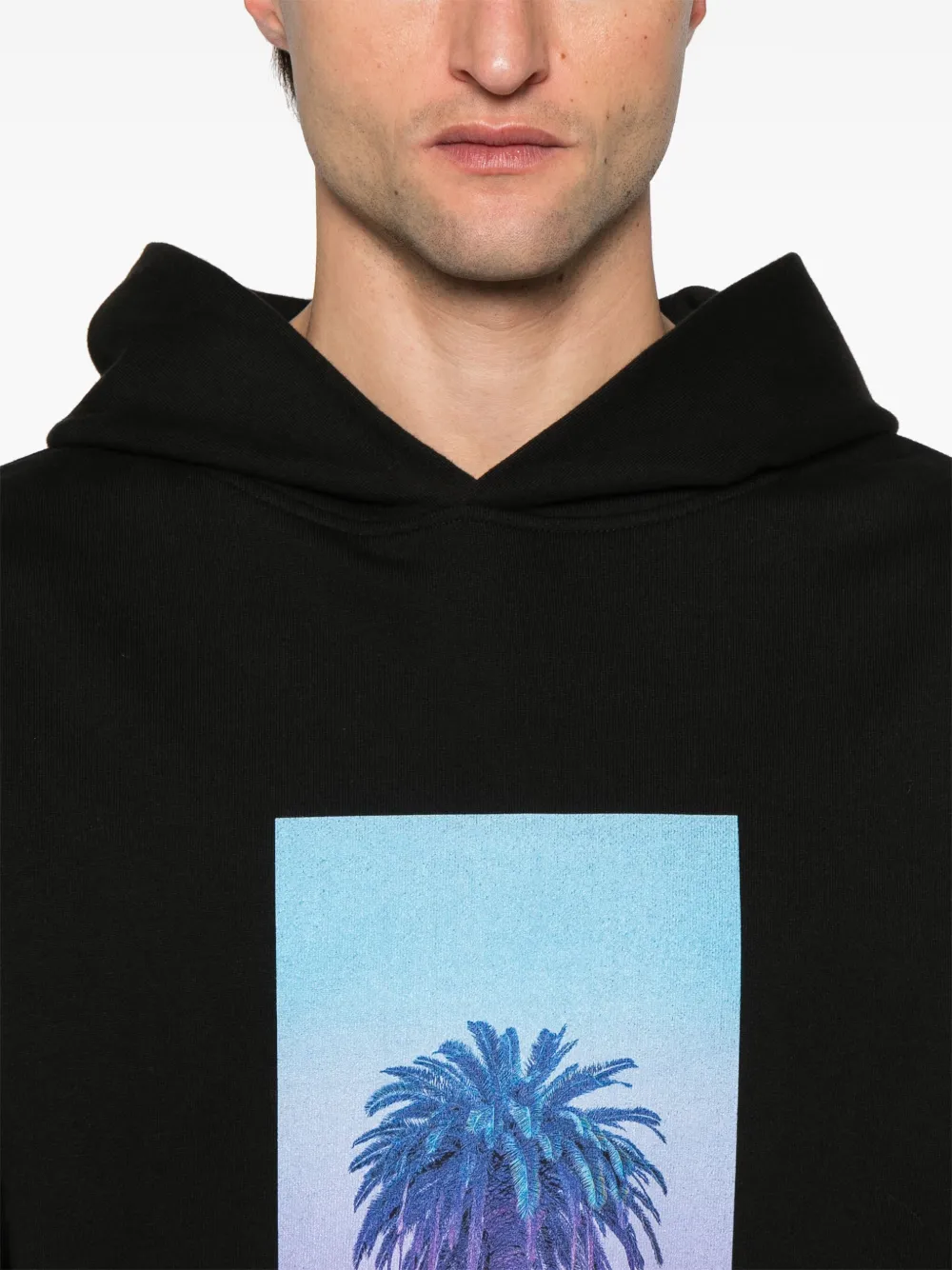 BLUE SKY INN Sunset Palm hoodie Zwart