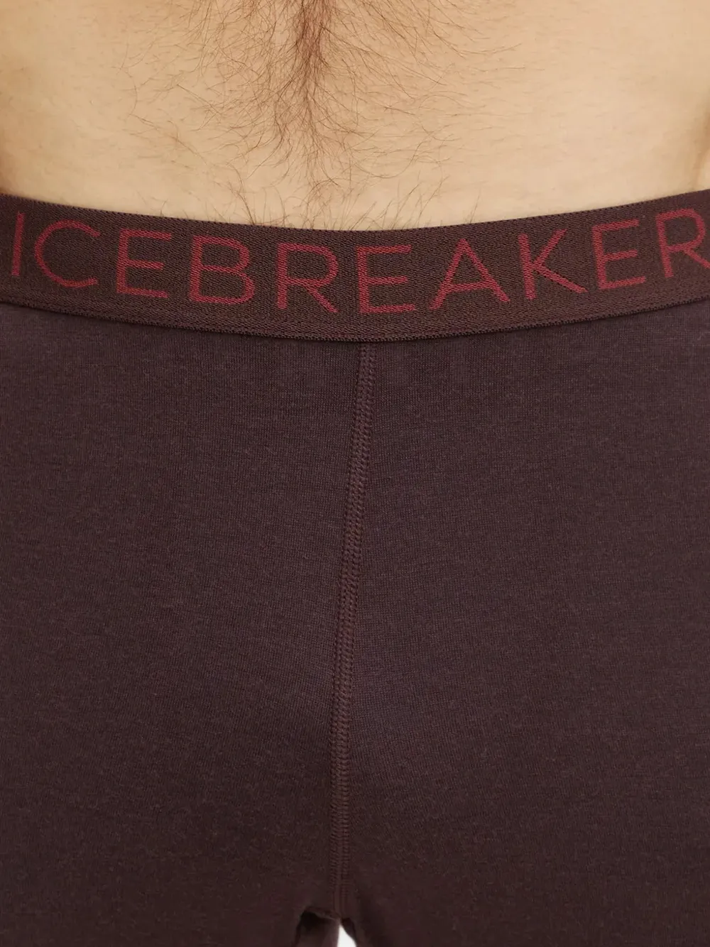 icebreaker Gestreepte legging Bruin