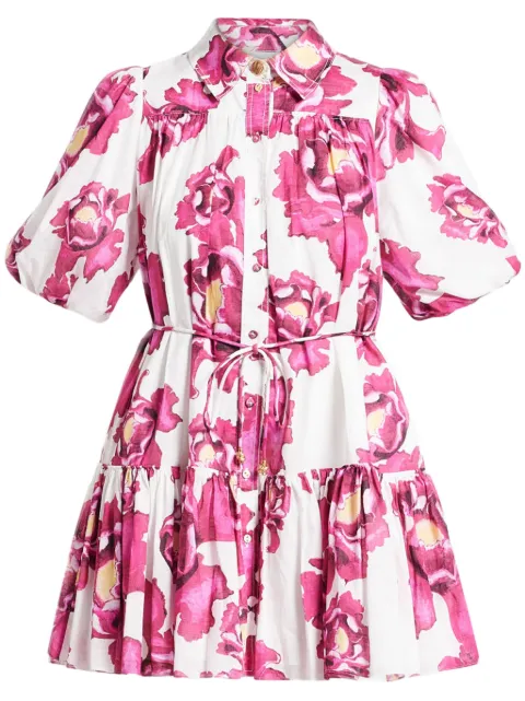 Aje Eliza dress