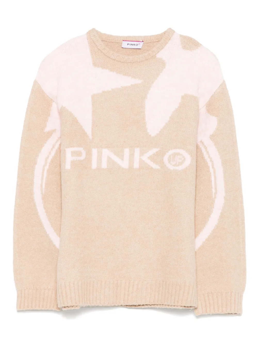Pinko Kids Intarsia trui Bruin