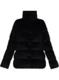 Moncler Cochevisse puffer jacket - Black