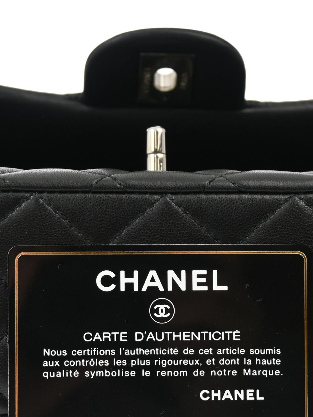 Affordable HOT SALE CHANEL 2010 Ladybug Classic Flap shoulder bag Women