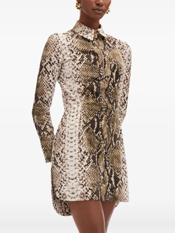 green snake print shirt dress H&M Shirt Dress Size 2 Green Snake Print Shirt Dress Collared Belted Button