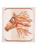 Longchamp Tête de Cheval scarf - Neutrals