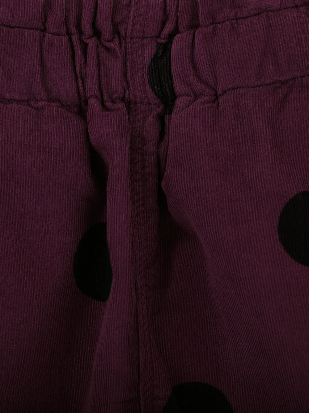Knot Lore shorts Paars