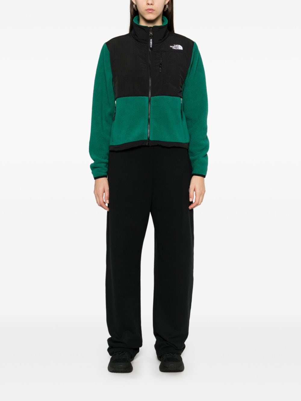 The North Face Retro Denali jack - Groen