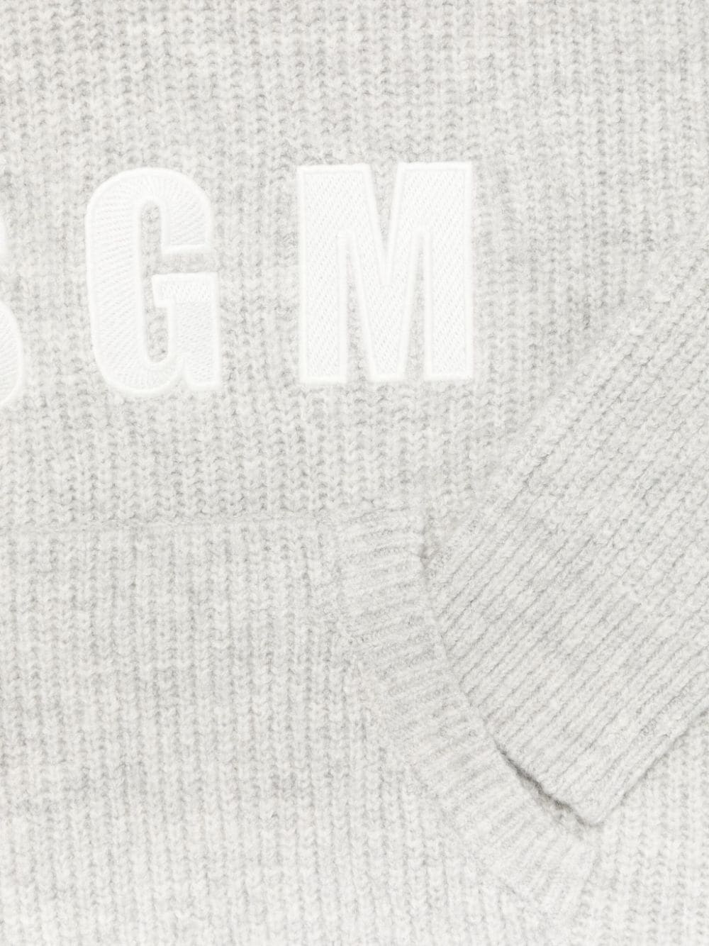 MSGM Kids Hoodie met geborduurd logo Grijs