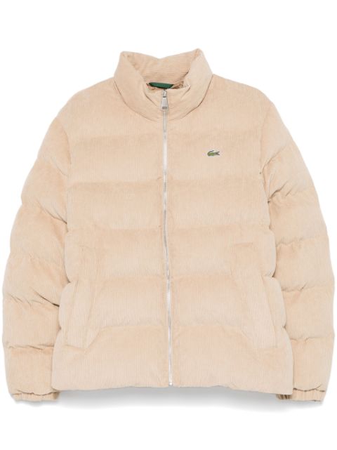 Lacoste corduroy puffer jacket Men