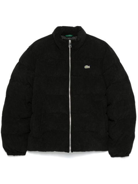 Lacoste quilted puffer jacket Men