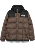 The North Face Lhotse jacket - Brown