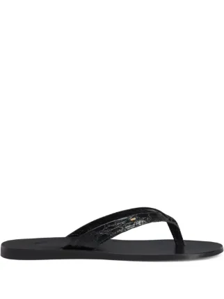 Giuseppe Zanotti