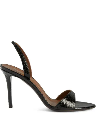 Giuseppe Zanotti